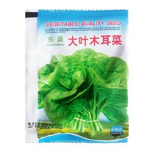大叶木耳菜种子苗秧青菜阳台盆栽庭院农家作物夏四季种植蔬菜种籽