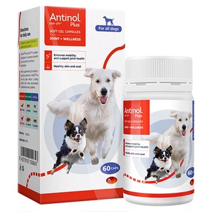 新西兰安替诺Antinol安适得277软骨素狗猫关节强炎髌骨脱位安它诺