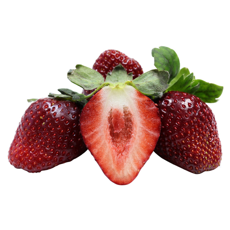 盆栽真红美玲草莓苗秧原盆大苗章姬红颜玄玉越雪妃梦之莹四季阳台