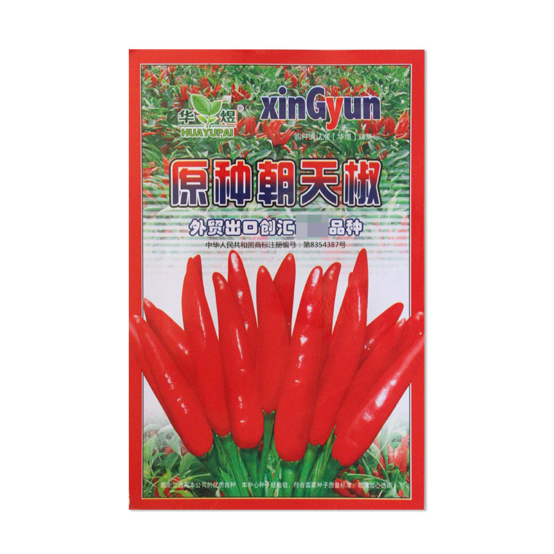 华煜原种朝天椒种子辣味浓