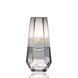 北欧玻璃花瓶透明 简约创意大号客厅插花百合富贵竹鲜花餐桌摆件