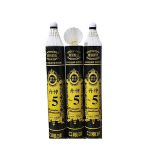 林李甄选丹神5号业余对抗口粮比赛球平替球飞行扎实超耐打不易烂