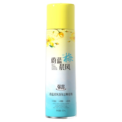海洋香氛洁厕慕斯马桶清洁剂