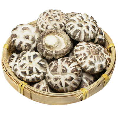 新鲜庆元农家椴木花菇干货香菇