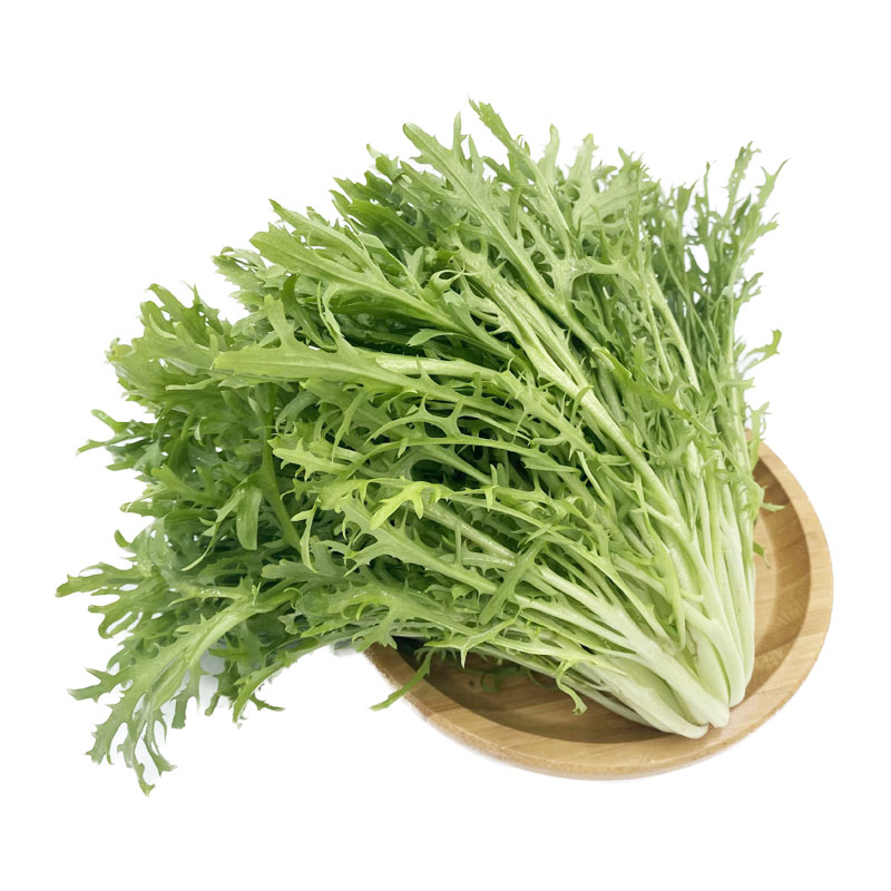 苦细叶250-2500g新鲜苦叶生菜蔬菜苦菊沙拉食材狗牙菜苦苣