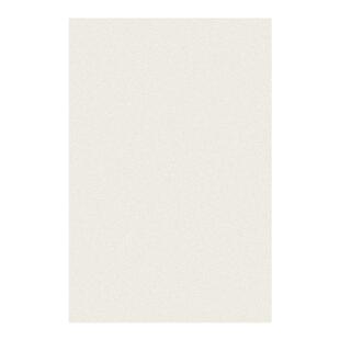 冬季奶油风客厅地毯加厚毛绒轻奢高级茶几毯纯色卧室地垫可擦免洗