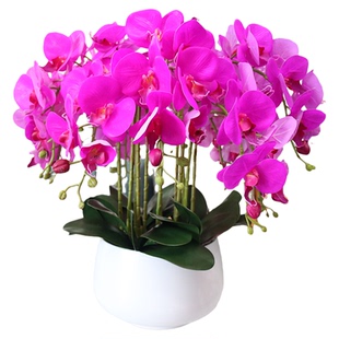 假花仿真花特大号手感PU蝴蝶兰电视柜摆设客厅茶几公司前台装饰花