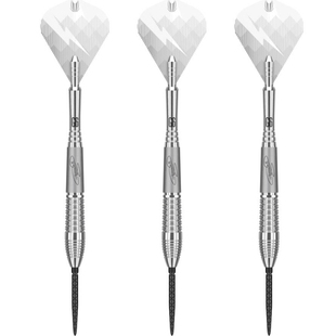 TARGET TAYLOR G6 SWISS泰勒6代95钨钢飞镖硬22/24/26软式18/20克