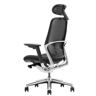 okamura冈村Sagesse人体工学电脑椅家用舒适护腰久坐办公学习椅子