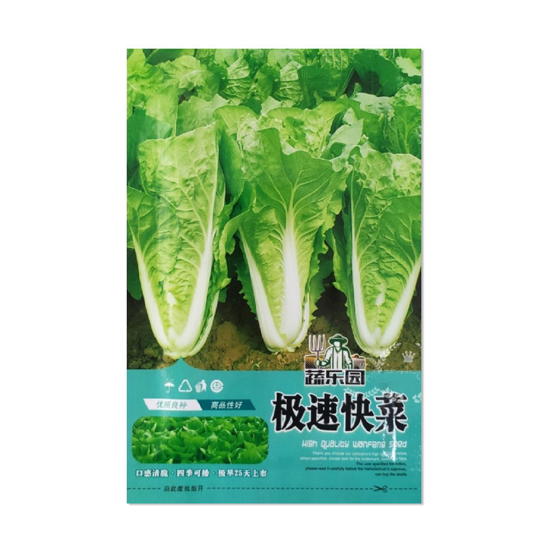 万丰农研极速快菜种子