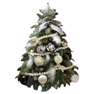 2025新款仿真诺贝松圣诞树客厅家用小型迷你桌面摆件圣诞节装饰品