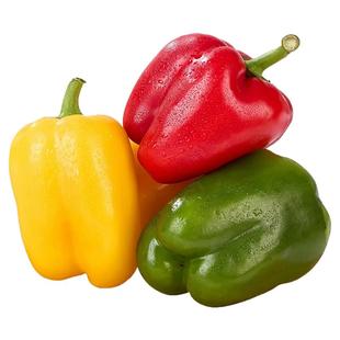 彩椒新鲜生吃水果青椒三色灯笼甜椒柿子椒小米圆辣椒寿光农家种植