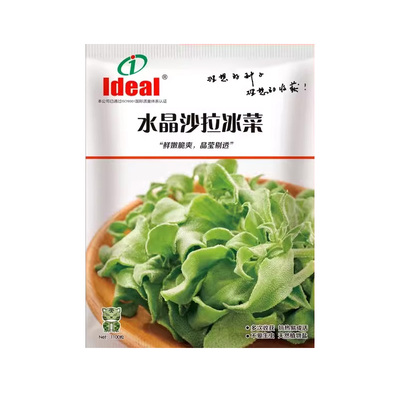 水晶冰菜种籽盆栽阳台蔬菜种子大全冰草苗秋冬季种植青菜野菜种孑