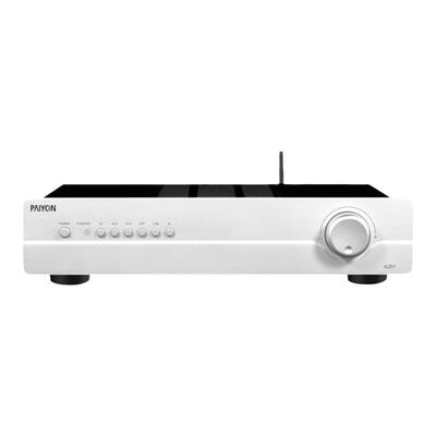 PAIYON派扬A201多功能hifi功放