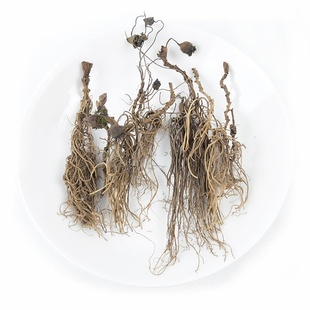 神农架高山 细辛整颗金盆华细辛细草山人参50克带叶子药材 包邮