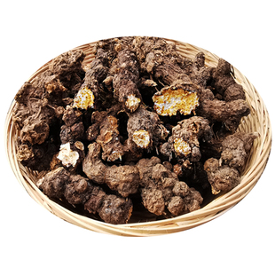 野生苍术中药材正品 黄柏苍术组合 茅苍术黄柏和苍术中药材泡水喝