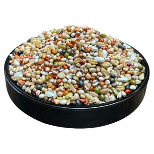 炫料鸽粮育雏鸽子粮小鸽子专用食物无玉米信鸽鸟食苞米高营养粮食