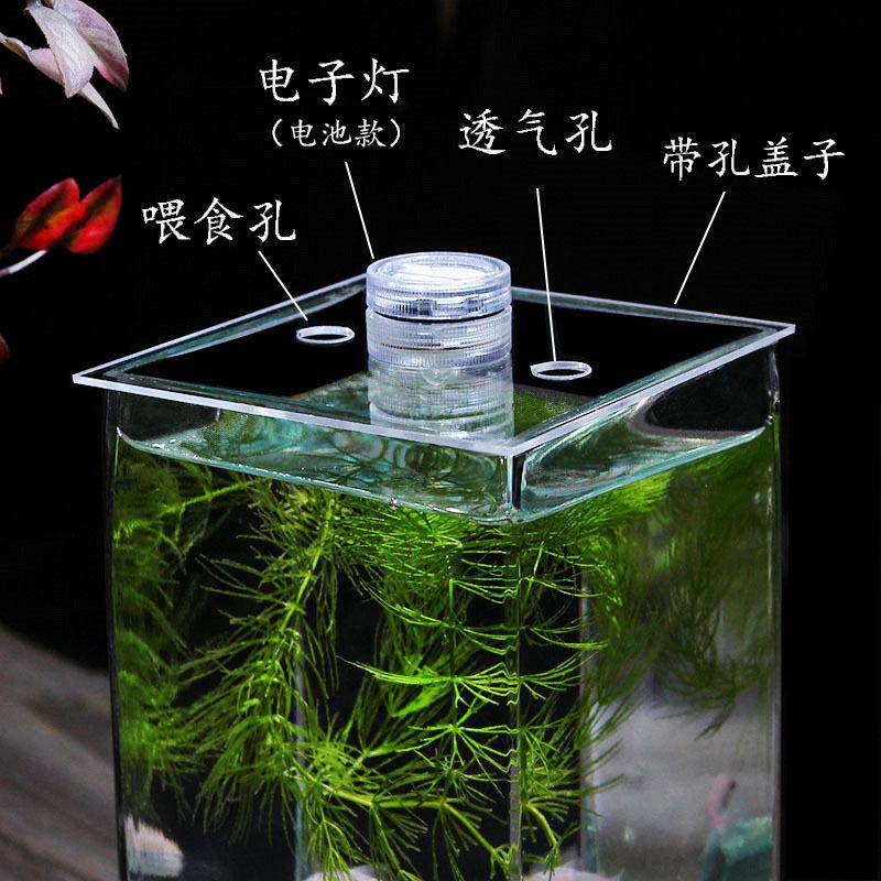 奇艺家居方形加厚超白玻璃鱼缸桌面装饰花瓶斗鱼缸带盖子水培花器