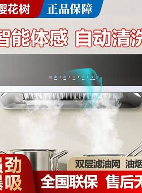 樱花树家用中式单抽顶吸抽油烟机高速电机节能出租房上门安装吸力
