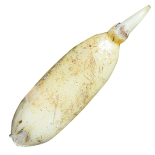 湖北洪湖莲藕脆甜嫩藕可生吃新鲜现挖清甜脆藕可清炒凉拌卤藕藕夹