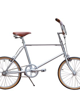 DayDayBike20寸小轮复古自行车