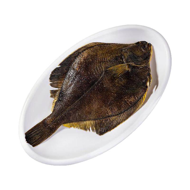 鲽鱼深海现捕大号碟鱼鸦片鱼新鲜速冻比目鱼海鲜水产商用雅片鱼