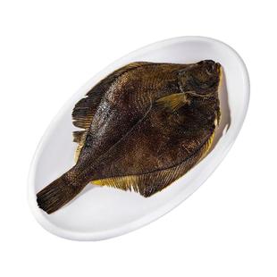 鲽鱼深海现捕大号碟鱼鸦片鱼新鲜速冻比目鱼海鲜水产商用雅片鱼