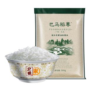广西大米长寿乡巴马油粘香米丝苗米煮粥煮饭煲仔饭专用米500g