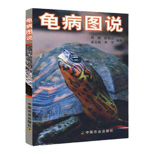 正版龟病图说 养龟书籍乌龟养殖技术养龟养好宠物龟手绘图鉴乌龟大全李艺金钱龟安布闭壳龟金钱龟乌龟书籍龟肠胃炎的书乌龟疾病书