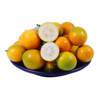 脆皮小金桔9斤新鲜桔子应季现摘