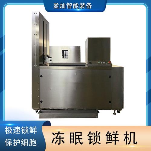 活鱼冻眠锁鲜机 大虾海鲜速冻机 荔枝冻眠机草莓豆腐冻眠锁鲜设备