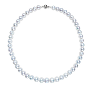 倪妮款天然海水澳白珍珠项链凤凰维纳斯真科研送妈妈长辈珍珠颈链