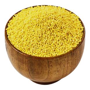 敖汉有机黄小米新米500g/袋正宗内蒙特产赤峰小米杂粮敖汉发源地