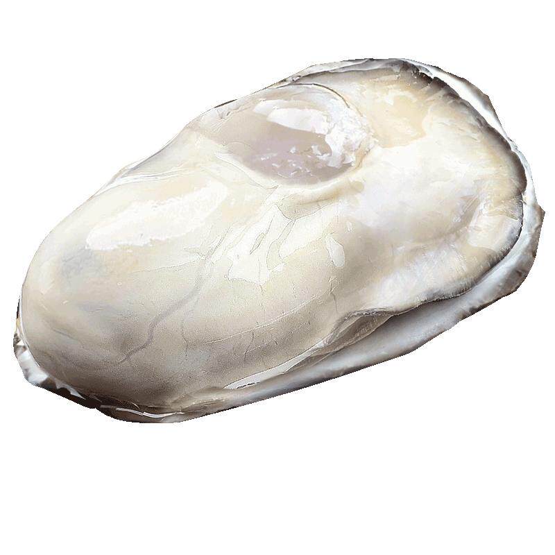 生蚝乳山特大鲜活海蛎子刺身牡蛎生鲜官方旗舰店商用批发整箱5斤