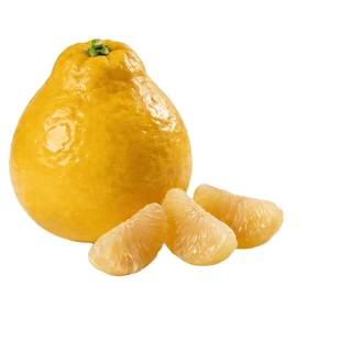 广东正宗梅州特产沙田柚子梅县南福金柚新鲜水果冰糖柚非容县包甜