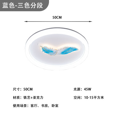 儿童卧室防尘羽毛灯新款网红led吸顶灯爆款现代简约主卧房间灯具