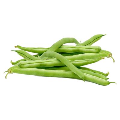 无架地豆种子苗高产不搭架豇豆豆角种孑春夏秋菜豆矮生四季豆种籽