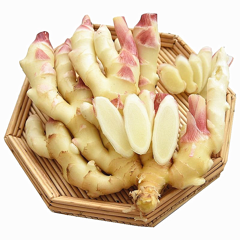 云南现挖现发新鲜嫩姜包邮