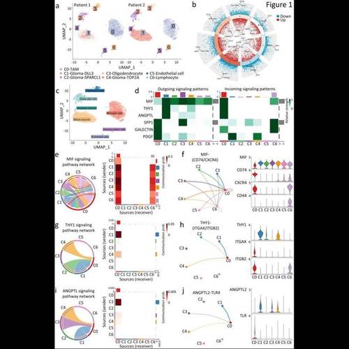 测序数据生信分析单细胞空间转录组蛋白组WGS甲基化16S宏基因WES