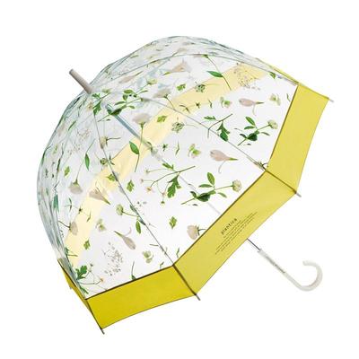 雨伞长柄雨伞wpc.自营