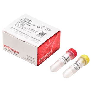 L3000008脂质体3000 Invitrogen赛默飞Lipo3000转染试剂L3000015