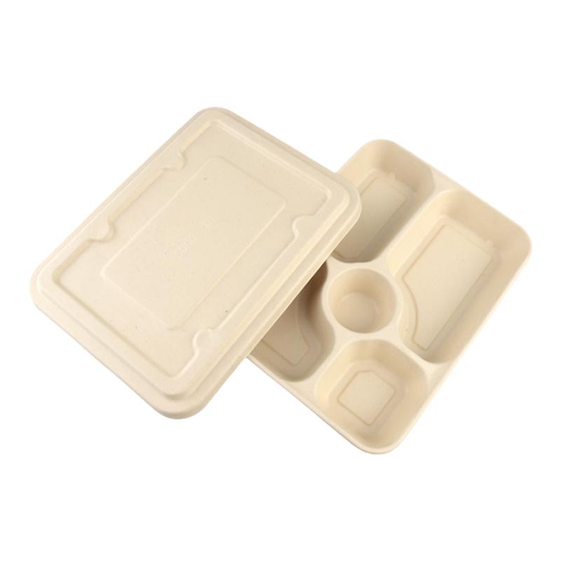 一次性可降解多格餐盘纸浆打包盒