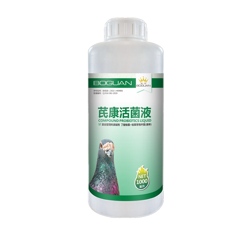 搏冠鸽子药芪康活菌噬菌赛鸽肠道