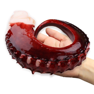 脆口鱿鱼须新鲜章鱼足八爪鱼海鲜超大章鱼须10斤鲜活章鱼爆头腿脚