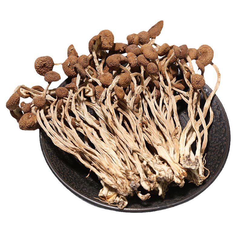 无硫烘干茶树菇干货批发煲汤商用食用菌野生鲜香茶树菇老鸭汤包邮