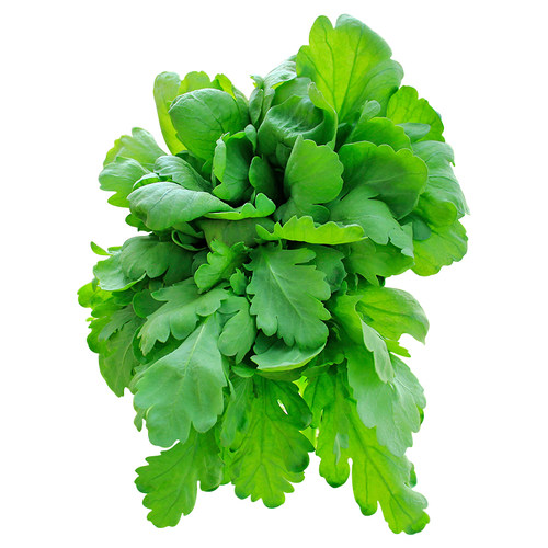 大叶小叶茼蒿种子青菜种籽皇帝菜蔬菜秋冬冬季四季种孑菜籽菜种
