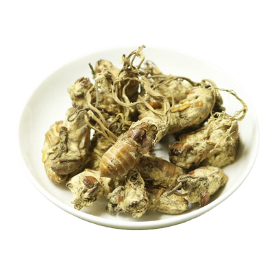 金蝉花非野生中药材包邮