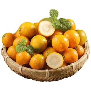 【果王】广西融安滑皮金桔新鲜水果5斤应季大果整箱礼盒顺丰包邮