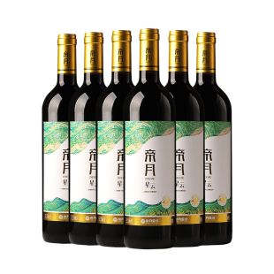 帝月星云贺兰山赤霞珠干红葡萄酒宁夏红酒国产整箱装送礼官方正品