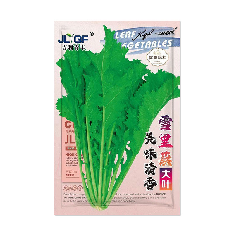 吉利青丰大叶雪里蕻种子